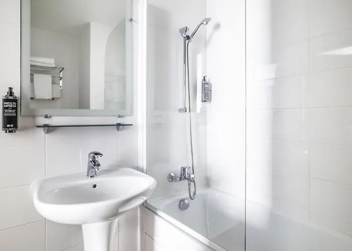 ホテル イビス スタイルズ センター 3*